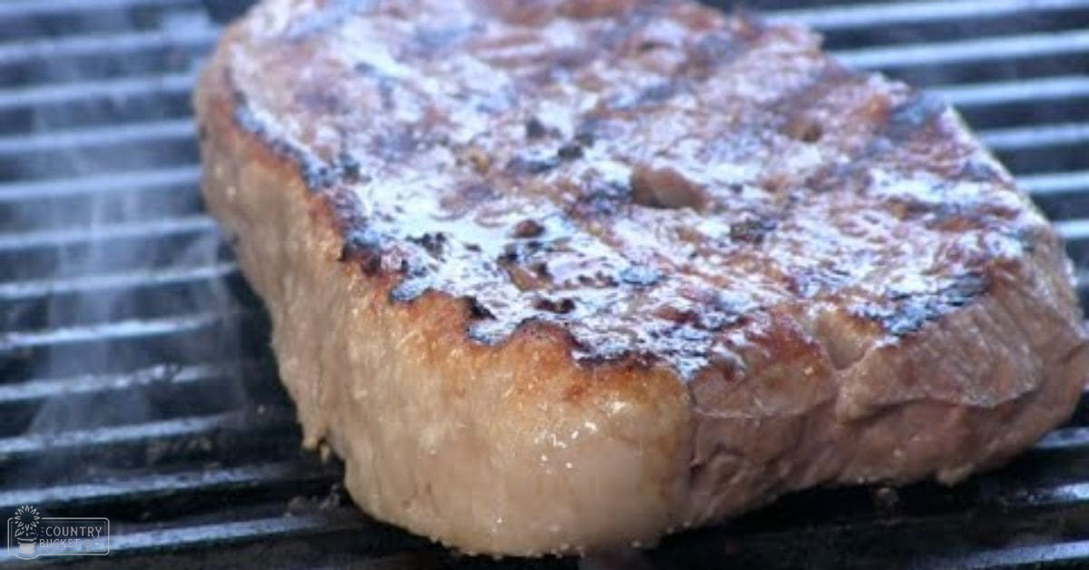A steak cooking on a grill outdoors during daytime with brown and black tones dominating the scene.