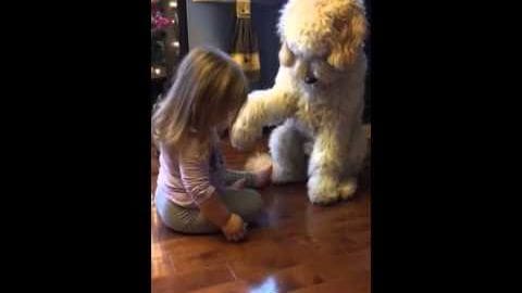 A toddler interacts with a large stuffed dog in an indoor setting near a decorated Christmas tree.