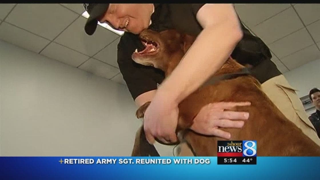 A retired Army Sergeant in a dark shirt and khaki pants reunites with his brown Labrador Retriever-like dog indoors, possibly in an office or public building setting.
