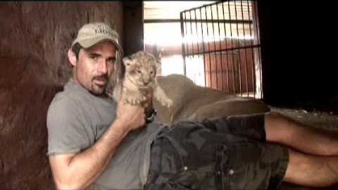 A man holds a juvenile lion cub in what appears to be an indoor zoo or wildlife sanctuary setting, with artificial lighting and an enclosure visible behind them.