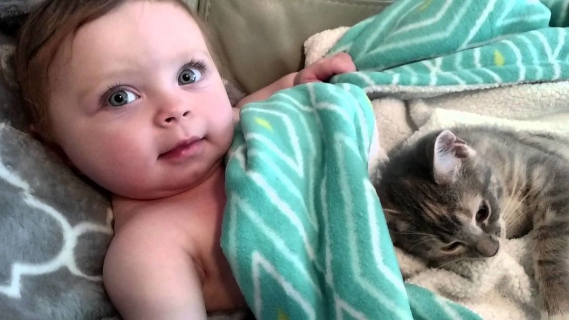 An infant and a tabby kitten lounging together on a green zigzag-patterned blanket in an indoor setting with natural light.