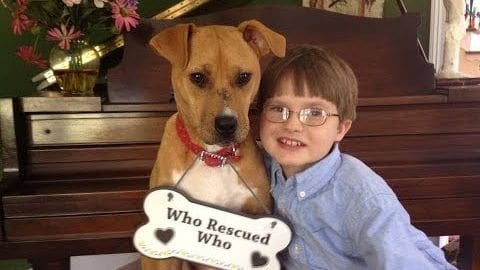 A child with glasses and a light blue button-up shirt stands indoors next to a reddish-brown dog with white markings, near a dark wooden piano holding a vase of pink flowers.