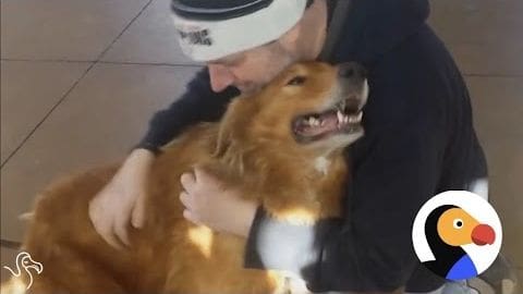 An adult male singer wearing a black hoodie hugs a brown Shiba Inu dog with white markings in a home setting, tiled flooring visible.
