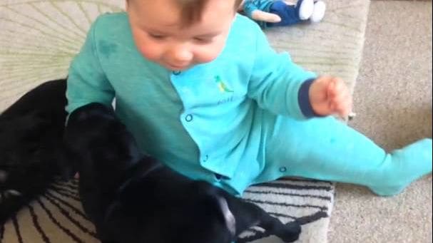 An infant in a teal long-sleeved onesie sits on textured indoor furniture alongside a solid black kitten, illuminated by natural daylight with neutral-colored carpeting beneath.