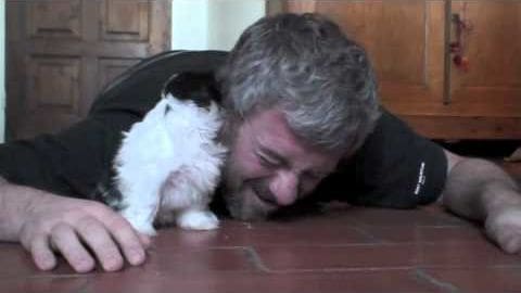 A middle-aged adult male interacts with a juvenile domestic shorthair kitten in a wooden-furnished indoor setting, likely during the daytime.