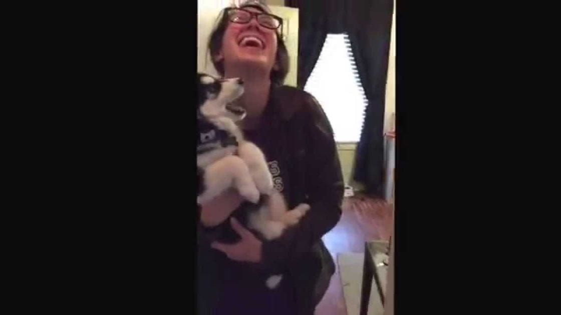 A young adult with glasses holds a small, fluffy puppy indoors near curtains and a bed frame.
