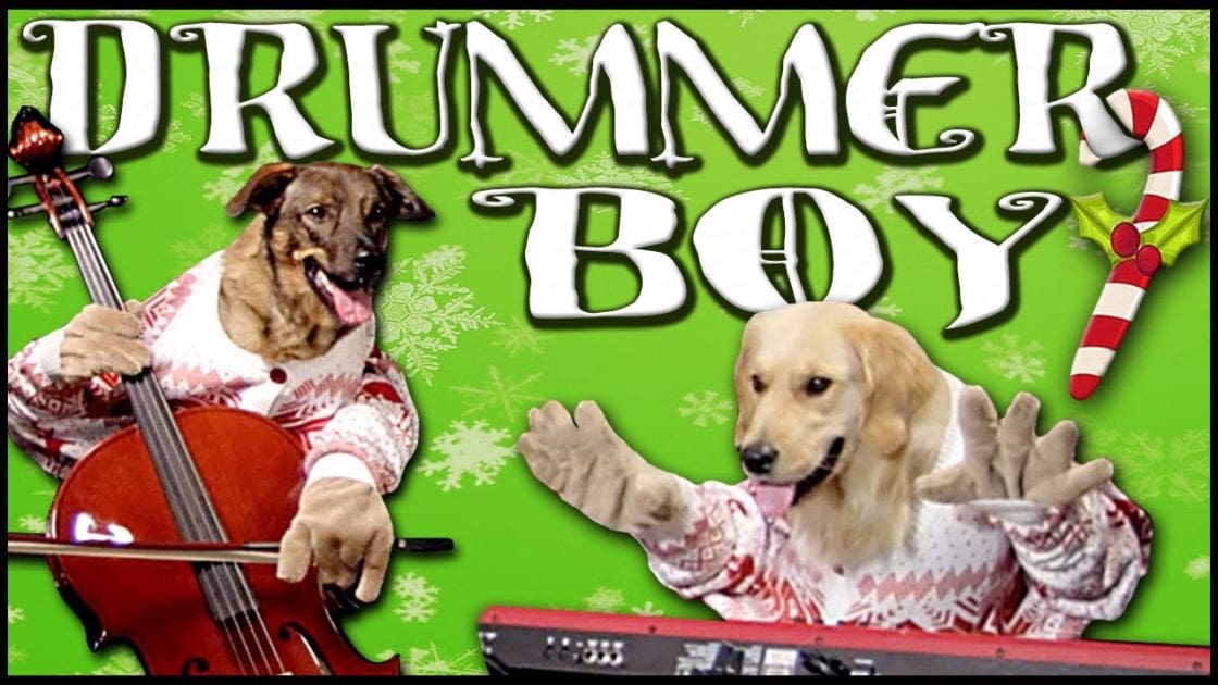Two adult golden retrievers playing musical instruments in a festive Christmas-themed indoor setting with snowflake decorations.