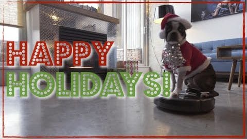 A Boston Terrier dog in holiday attire indoors with a robotic vacuum cleaner, fireplace, sofa, and framed picture.