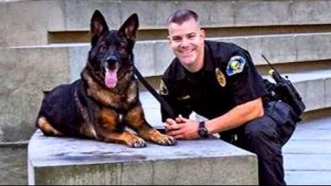 A police officer in a black uniform with patches, sitting outdoors on an urban concrete bench alongside his German Shepherd dog, a tan and black adult canine, under natural daylight.