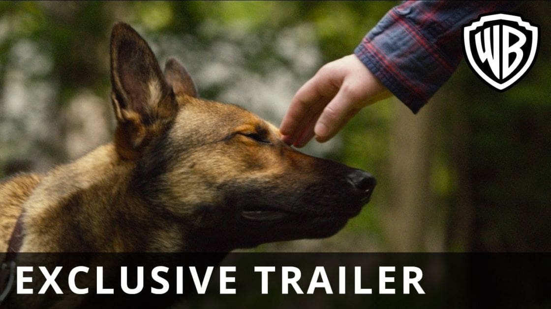 A German Shepherd dog interacting with a person’s hand outdoors in a wooded area during daylight.