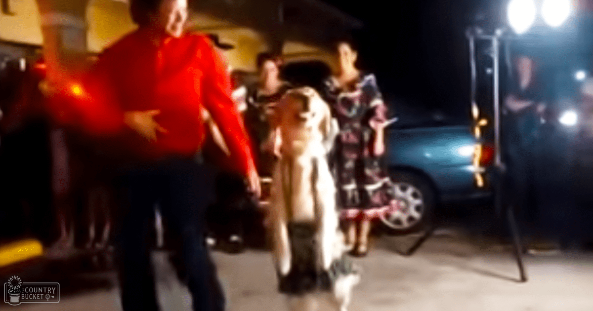 Adult male in red jacket dancing outdoors at night with other individuals and a vehicle nearby; nighttime lighting creates dramatic shadows.
