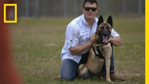 A middle-aged adult male wearing a white plaid shirt, dark blue jeans, and sunglasses stands with his German Shepherd dog in an open field surrounded by grass and trees. The lighting suggests it's late afternoon.