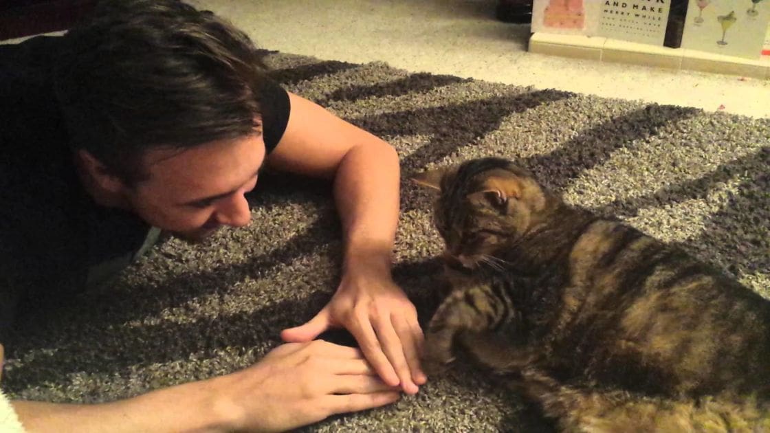 Adult male wearing dark t-shirt with tabby cat indoors on carpeted floor.
