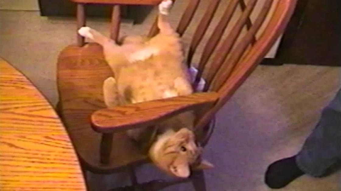 An orange tabby cat with white markings rests in a wooden rocking chair indoors, surrounded by neutral-toned furniture.