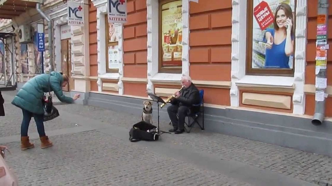 Middle-aged female street musician with teal puffer jacket and dog sitting beside older adult male saxophonist outside pharmacy, urban autumn or spring setting.