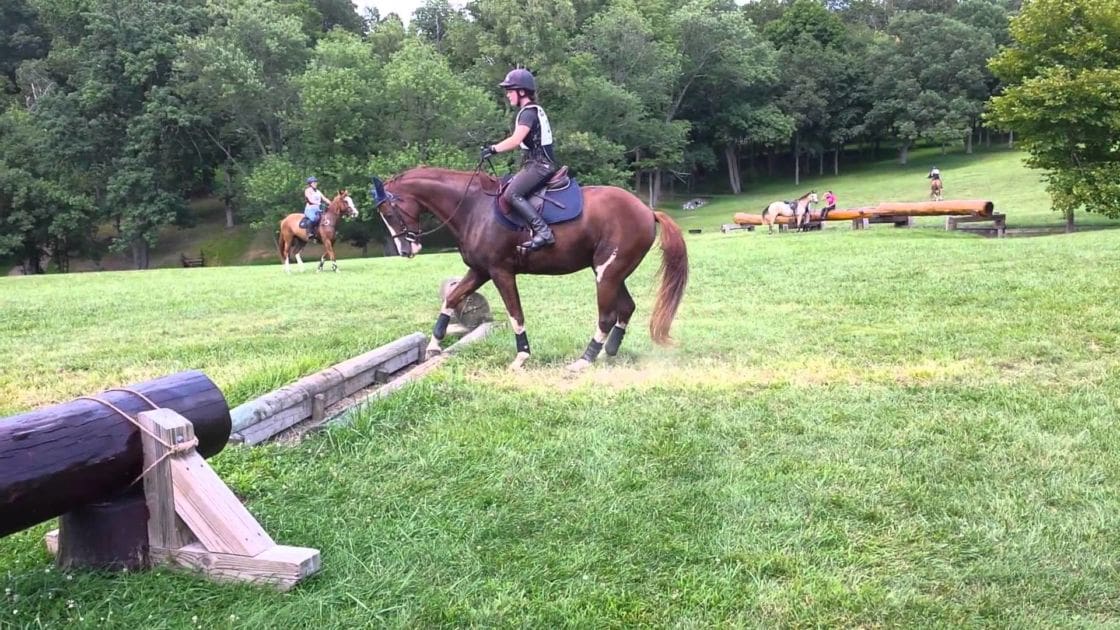 A horse rider with an adult female in a dark riding jacket and black helmet, accompanied by another person on horseback. The scene is set in a grassy equestrian field with trees and wooden obstacles.