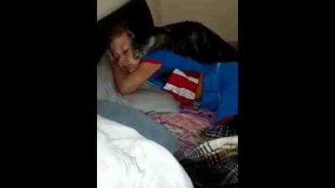 A young adult female wearing a blue superhero-themed shirt sleeps next to an adult tabby cat with white markings, both resting on a bed indoors under evening or nighttime lighting.