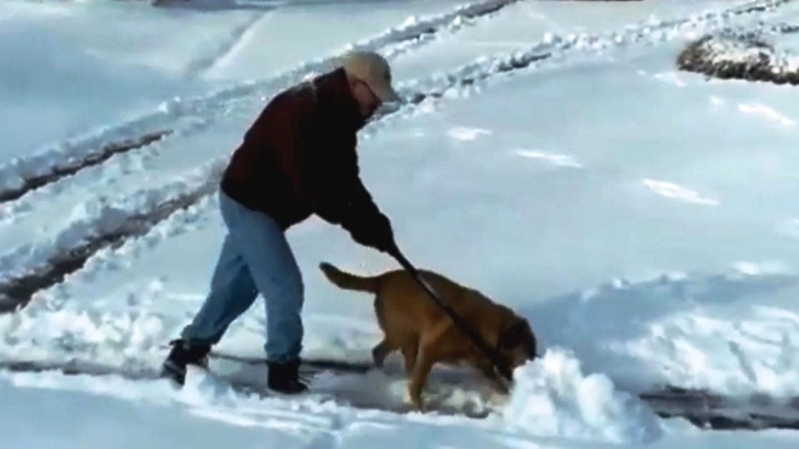 Middle-aged adult male in a relaxed ski jacket walking his golden retriever dog on an icy landscape during the day.