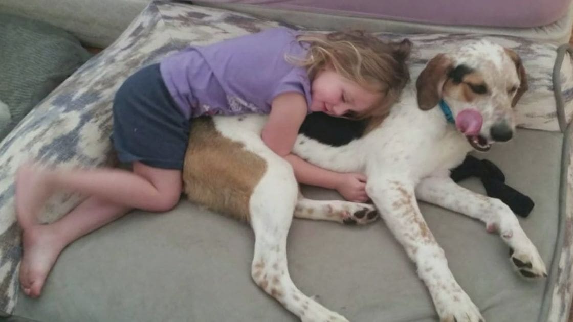 A toddler girl lying with a dog on a patterned couch indoors.