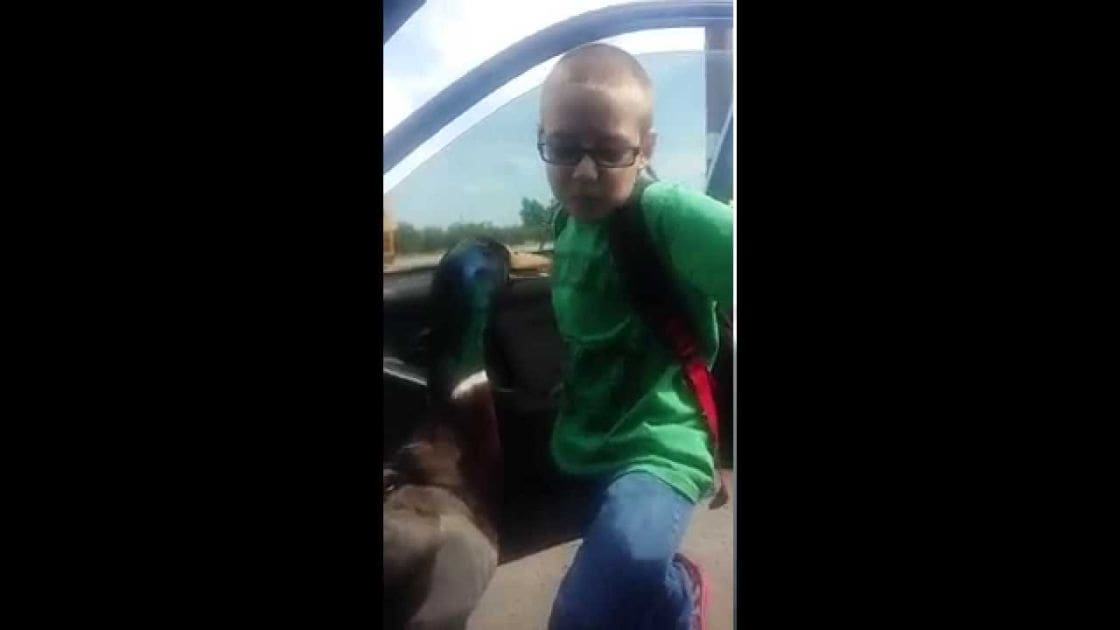 A child in a green t-shirt and blue jeans sits inside a car at what appears to be a bus stop or roadside area, surrounded by natural daylight and visible trees.