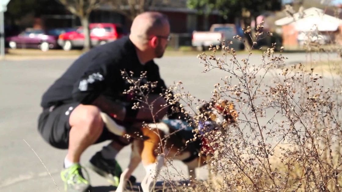 An adult male wearing a black t-shirt, dark shorts, and athletic shoes with bright green accents interacts with a medium-sized brown and white dog on a suburban street during late afternoon or early evening.