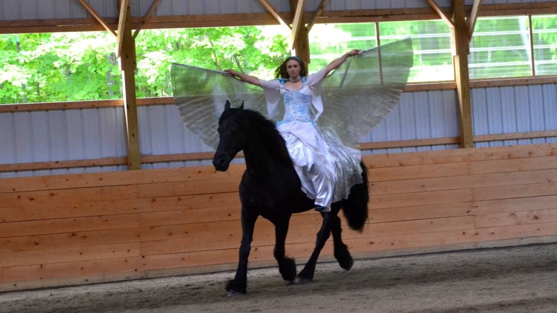 A woman in a white dress with blue accents rides a black Friesian horse indoors, with natural light and green trees visible outside.