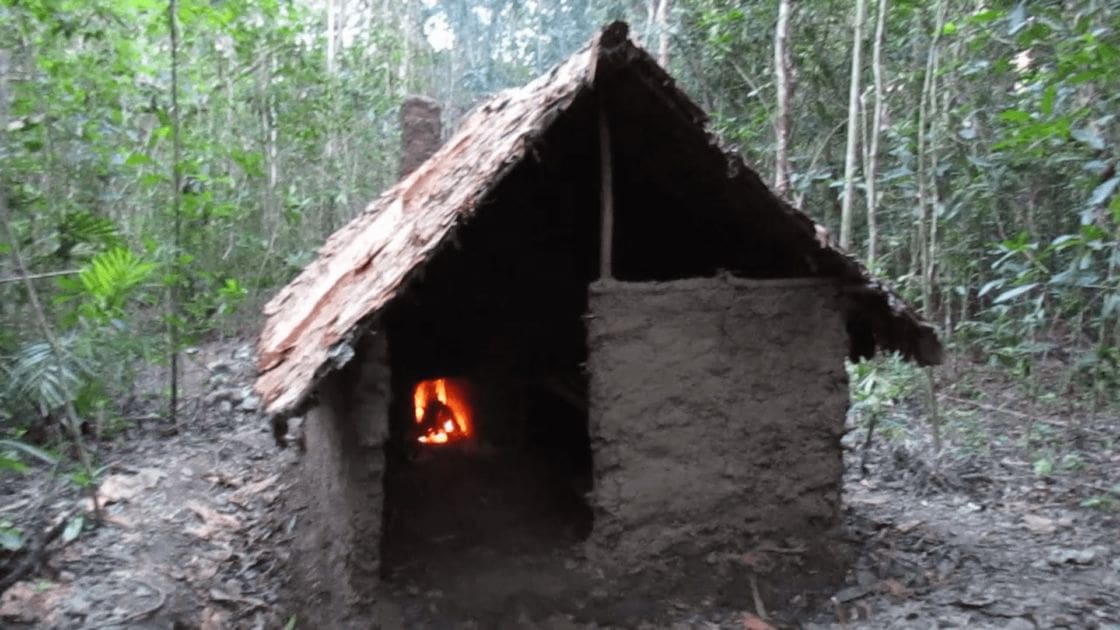 A small rustic hut with a thatched roof in a dense forested area, surrounded by lush greenery under bright daytime light.