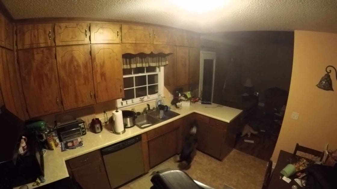 An indoor residential kitchen scene with wooden cabinets, brass handles, a window above the sink with a small curtain, countertop appliances, dishwasher, dining area chairs and table, wall sconce on right, evening or night lighting, brown beige white dominant colors
