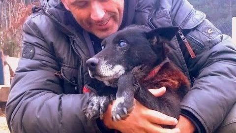 A middle-aged adult male in a relaxed dark gray leather jacket holds an adult mixed breed dog with black coat and white patches, set against the backdrop of an outdoor wooded area, likely autumn.