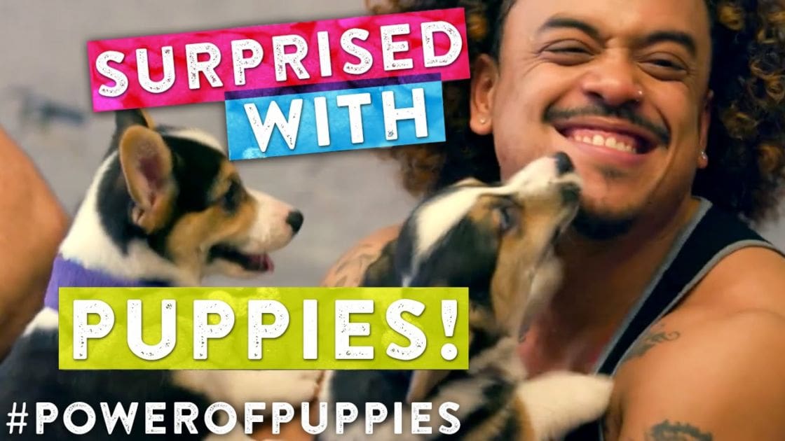 An adult male wearing a fitted sleeveless tank top with puppies in an indoor setting during daytime lighting.