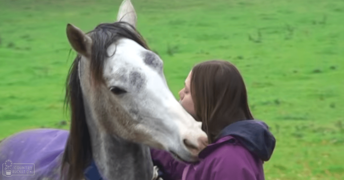 An adult male singer wearing a purple hooded jacket stands outdoors in a grassy field, with a horse nearby. The scene suggests late spring or early summer with bright daylight.