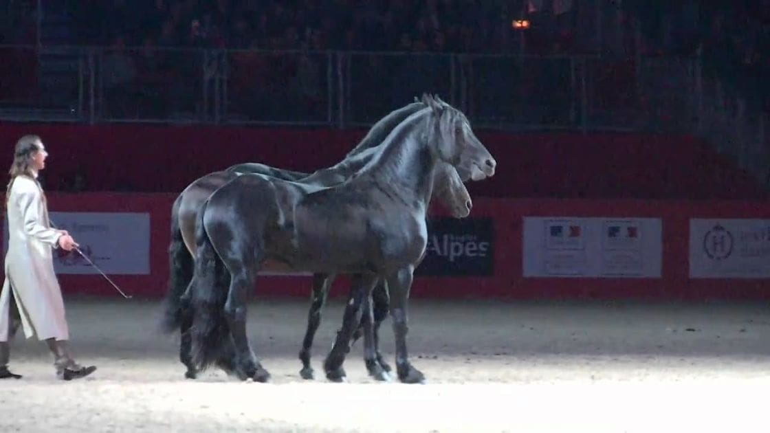 An adult female wearing a light-colored, fitted 19th-century-style long coat with high collar and dark pants stands in an indoor arena next to a Friesian horse. Signs reading 'Alpes' are visible in the background.