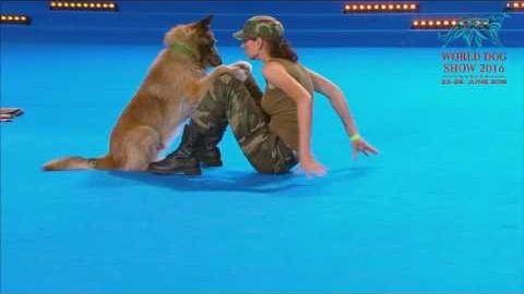 A young adult female in camouflage-patterned attire stands with her German Shepherd or similar breed dog at the World Dog Show 2016, set against an indoor stage with blue flooring and artificial lighting.