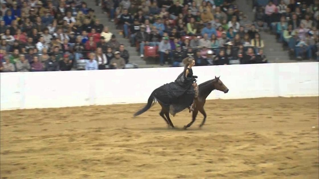 A horse rider in an indoor arena, possibly at a rodeo or equestrian event; adult female rider wearing dark riding attire with long tied-back hair, audience seated on bleachers dressed casually for indoor events