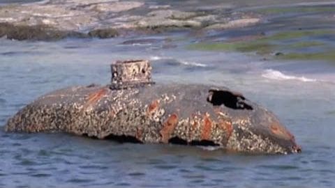 A black-winged bird with white markings perched on a rusted old shipwreck near a coastline, under daylight conditions.