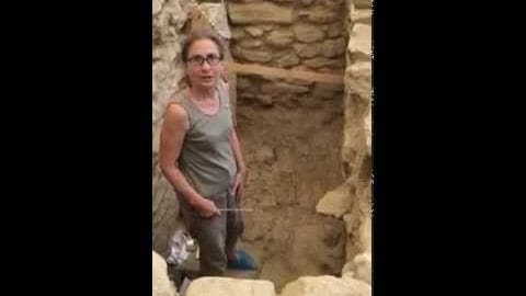 A middle-aged adult female in a relaxed fit sleeveless tank top, glasses, and blue textured-soled shoes, amidst stone structures at an archaeological dig site with earthy tones.