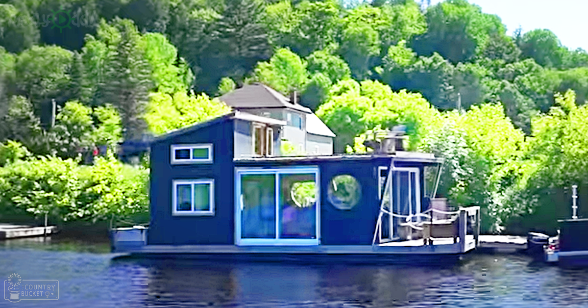 A lakeside houseboat surrounded by lush greenery, with large windows and outdoor furniture docked amidst trees and bushes. The scene suggests a peaceful natural setting during spring or summer.