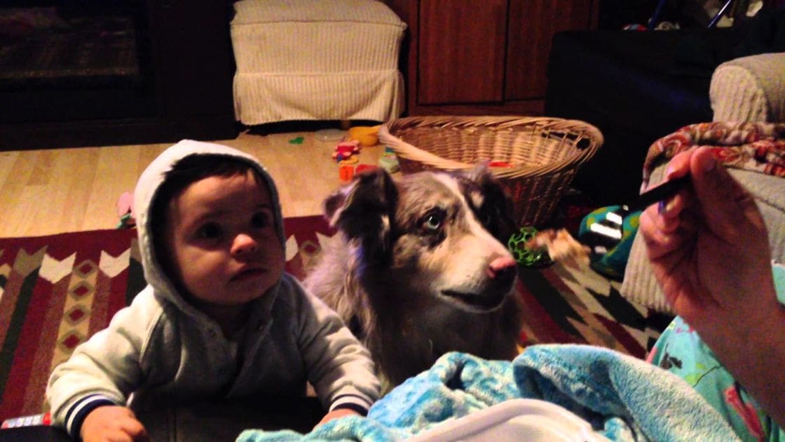 An adult male singer; a baby wearing a light gray hoodie indoors with an Australian Shepherd dog, cozy evening lighting, family-friendly environment, toys scattered on the floor, hardwood flooring, and warm autumn or winter ambiance.