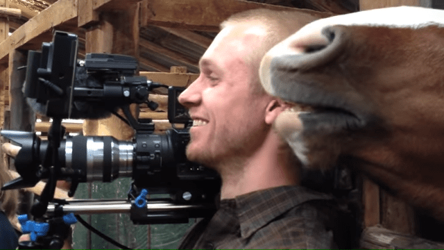 A man interacting with a draft horse in a barn setting, wearing a plaid shirt and carrying a camera rig.