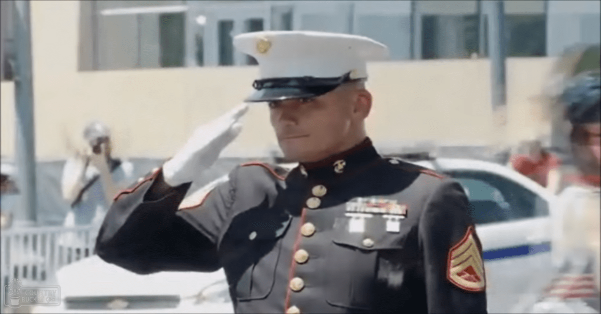 A Marine in a dark blue dress uniform with gold buttons, white gloves, and a white hat salutes outdoors under bright daylight.