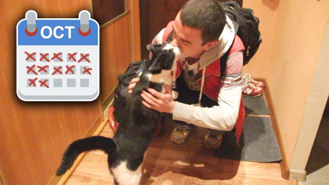 A young adult male holds a black and white cat in an indoor setting with a wooden staircase visible behind them. The calendar shows October, and the scene appears to be lit by natural light.