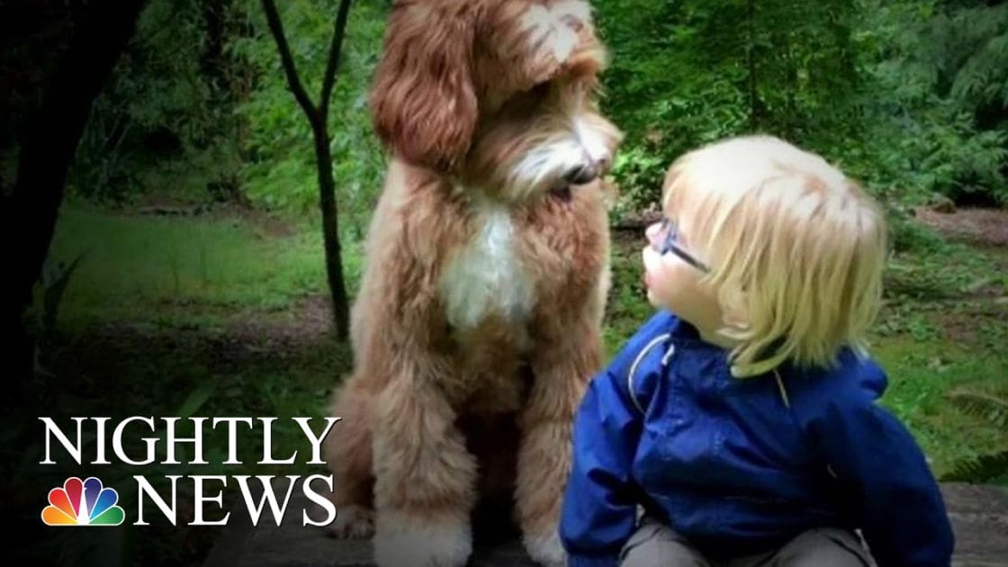 A toddler wearing a blue hooded jacket sits outdoors with a fluffy mixed breed dog on a spring or summer day.