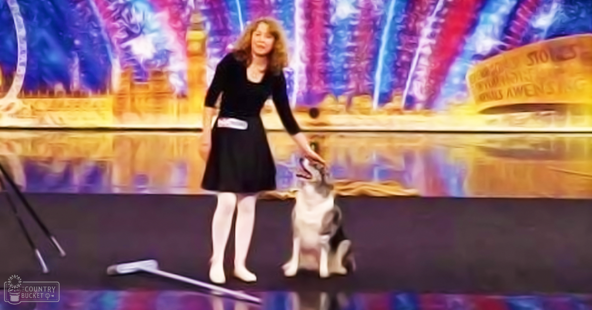 An adult female wearing a black dress with a fitted waist and flared skirt stands on an indoor stage with her husky dog. The backdrop features fireworks and possibly a cityscape, suggesting it's a talent show setting.