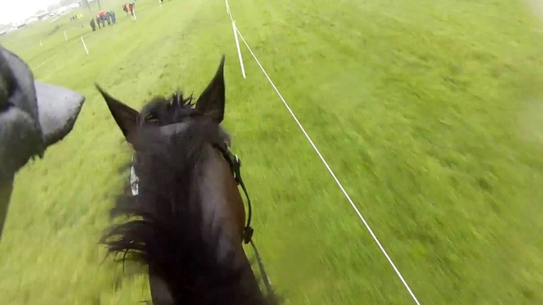 Adult horses galloping on a grassy equestrian event field under overcast skies with white boundary markers visible in the background.