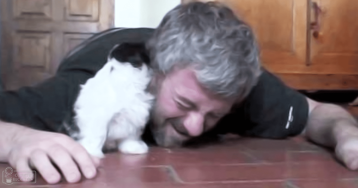 A tabby kitten with white and dark brown markings interacts with a middle-aged to older adult male wearing a dark green long-sleeve shirt or jacket indoors, with terracotta tiles and natural light in the background.