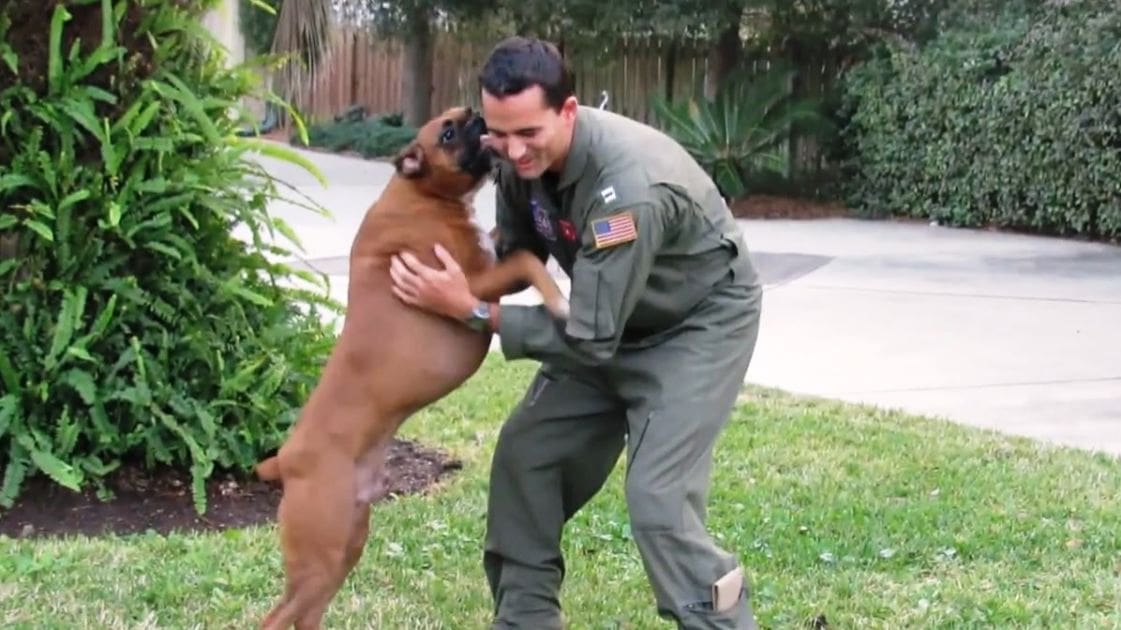 An adult male in a military-style uniform interacts with an adult German Shepherd dog on a paved driveway surrounded by greenery and bushes, under natural daylight in what appears to be spring or summer.
