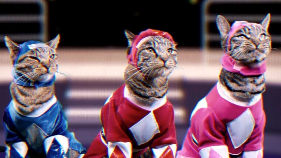Three tabby cats dressed in superhero costumes at an indoor performance setting.
