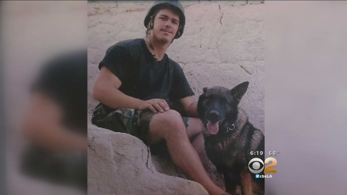 A young adult male wearing a black t-shirt with short sleeves, camouflage-patterned shorts, and a helmet or headgear stands outdoors next to a German Shepherd dog against a textured stone wall. The setting suggests an outdoor environment with natural daylight during late afternoon.
