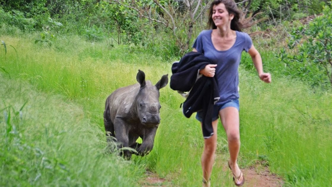 An adult female runs with a juvenile baby rhino in an outdoor summer setting, the light suggesting late afternoon or early evening.