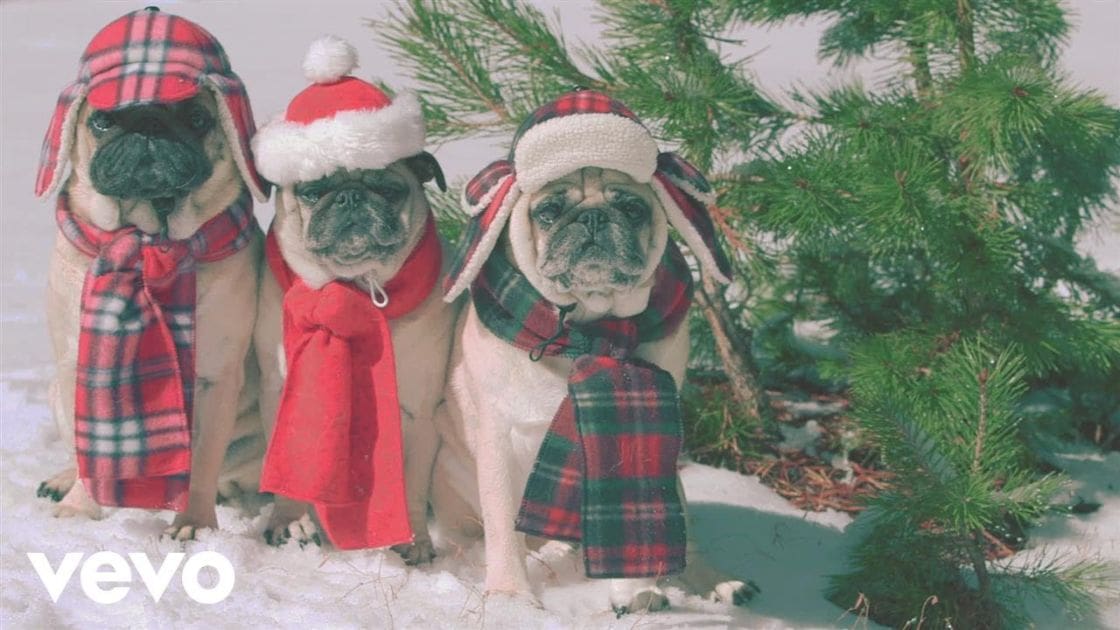Three pugs in holiday attire outdoors during winter with snow on the ground and evergreen branches.